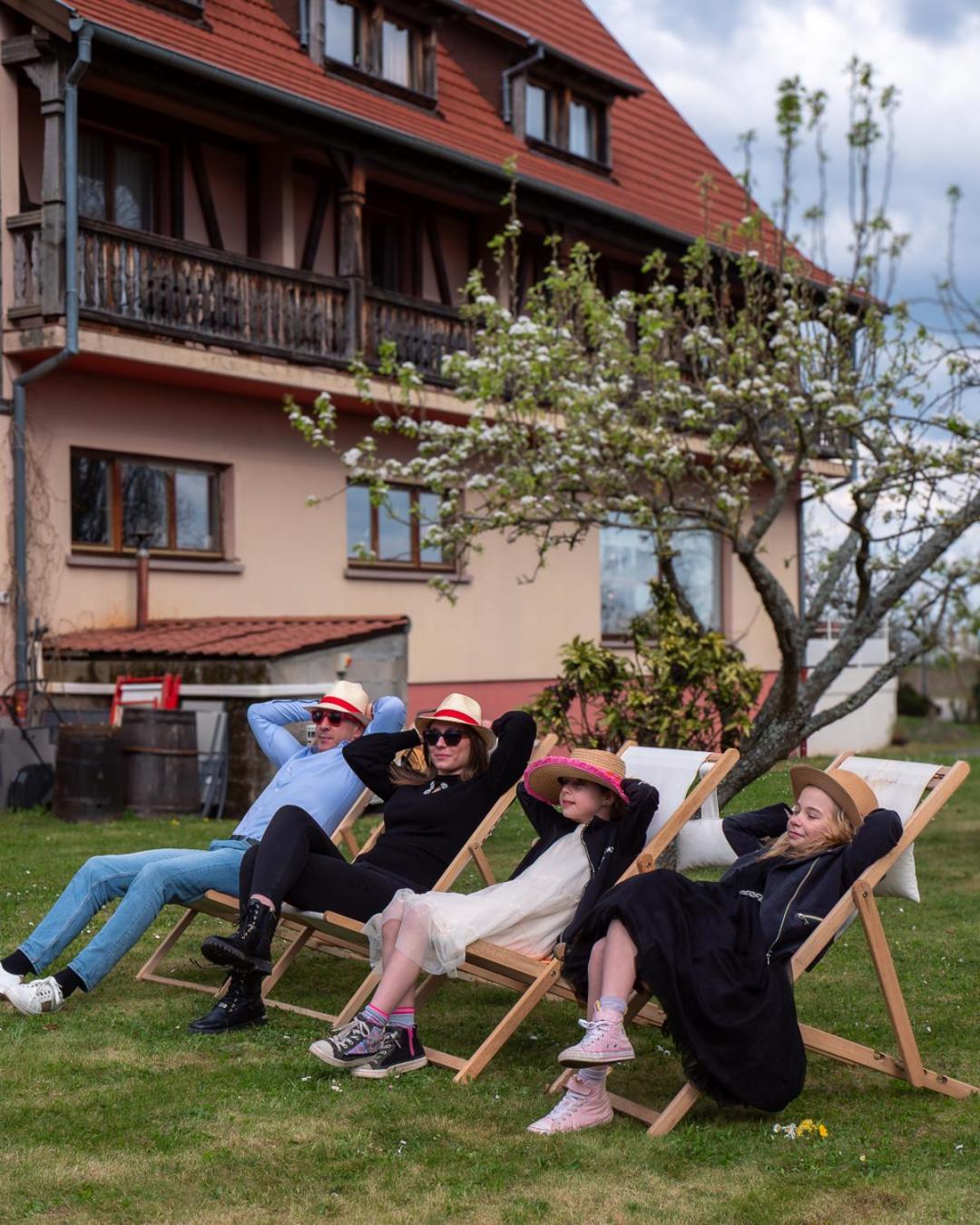 Hotel Restaurant Verger Des Chateaux, Route Des Vins Haut-Koenigsbourg Dieffenthal Exteriör bild