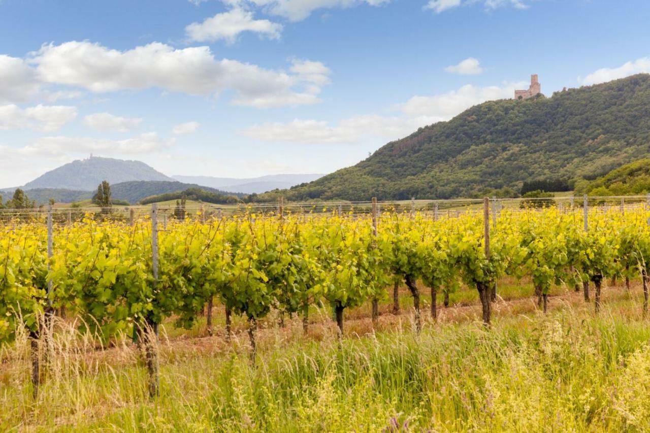 Hotel Restaurant Verger Des Chateaux, Route Des Vins Haut-Koenigsbourg Dieffenthal Exteriör bild